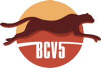 BCV5